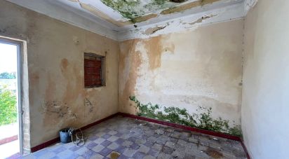 House T0 in Pechão of 1,120 m²