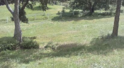 Agricultural land in Rio Maior of 6,960 m²