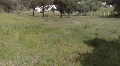 Terrain agricole à Rio Maior de 6 960 m²
