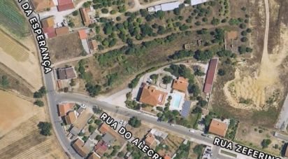 Terrain à Santarém (Marvila), Santa Iria Da Ribeira De Santarém, Santarém (São Salvador) E Santarém (São Nicolau) de 3 775 m²