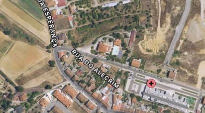 Terrain à Santarém (Marvila), Santa Iria Da Ribeira De Santarém, Santarém (São Salvador) E Santarém (São Nicolau) de 3 775 m²