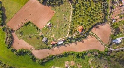 Ferme T6 à Alcanena e Vila Moreira de 172 m²