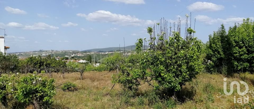 Land in Batalha of 3,880 m²