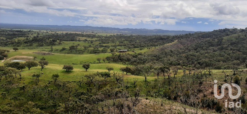 Terreno em Cercal de 920 000 m²