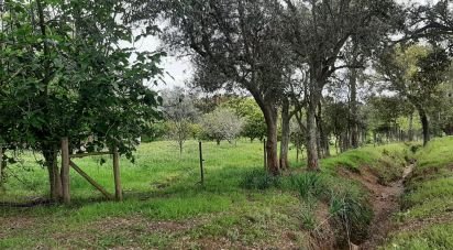 Land in Cercal of 920,000 m²