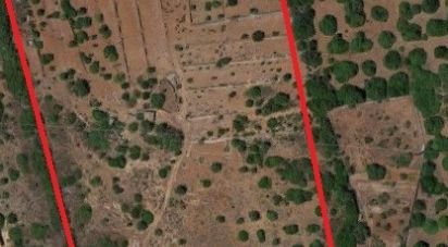 Land in Mexilhoeira Grande of 29,720 m²