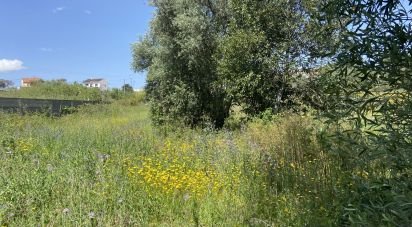 Terrain à Santarém (Marvila), Santa Iria Da Ribeira De Santarém, Santarém (São Salvador) E Santarém (São Nicolau) de 3 775 m²