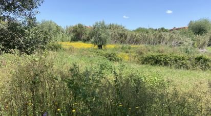 Terrain à Santarém (Marvila), Santa Iria Da Ribeira De Santarém, Santarém (São Salvador) E Santarém (São Nicolau) de 3 775 m²