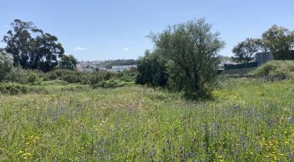 Terrain à Santarém (Marvila), Santa Iria Da Ribeira De Santarém, Santarém (São Salvador) E Santarém (São Nicolau) de 3 775 m²