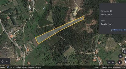 Terrain à São Pedro de Tomar de 9 680 m²