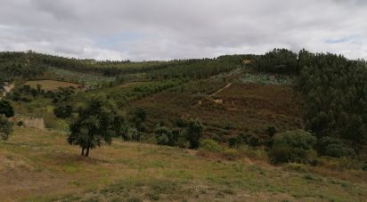 Terrain à São Pedro de Tomar de 9 680 m²