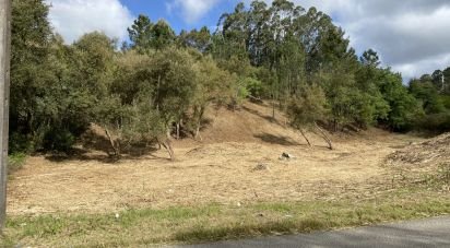 Terrain à bâtir à Marrazes e Barosa de 4 630 m²