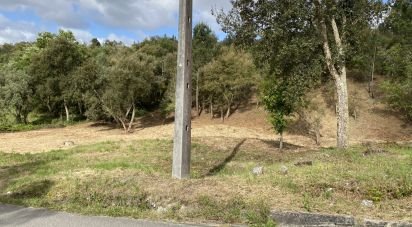 Terrain à bâtir à Marrazes e Barosa de 4 630 m²