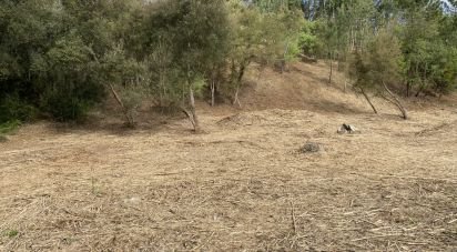 Terrain à bâtir à Marrazes e Barosa de 4 630 m²