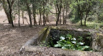 Terrain à bâtir à Marrazes e Barosa de 4 630 m²