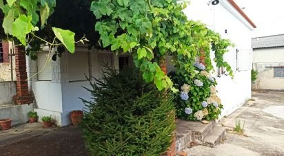 Maison T3 à Vilela Seca de 129 m²