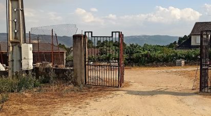 Terrain à Vilela Seca de 2 140 m²