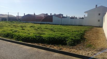 Terrain à bâtir à Benfica do Ribatejo de 544 m²