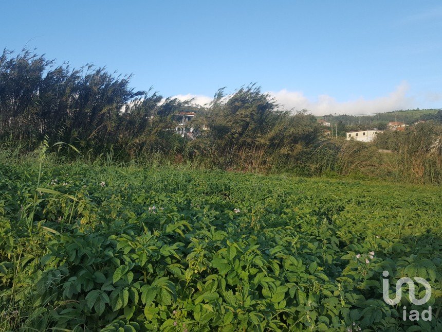 Land in Ponta do Pargo of 900 m²