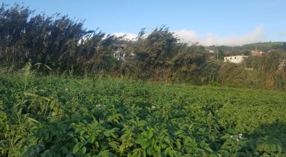 Land in Ponta do Pargo of 900 m²