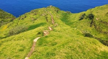 Land in Ponta do Pargo of 900 m²