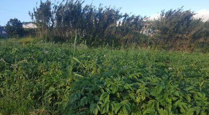 Land in Ponta do Pargo of 900 m²