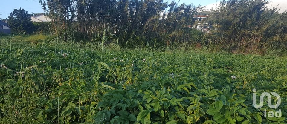 Land in Ponta do Pargo of 900 m²