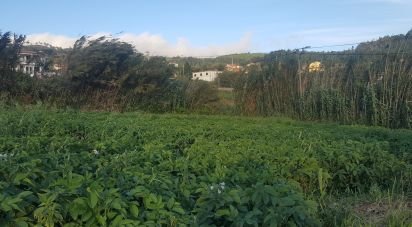 Terrain à Ponta do Pargo de 900 m²