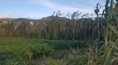 Land in Ponta do Pargo of 900 m²