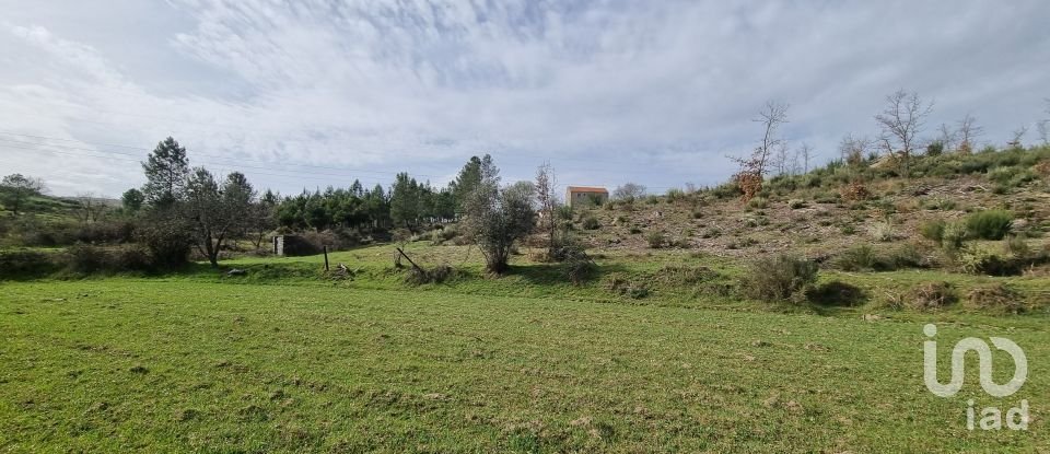 Farm T3 in Celorico (São Pedro e Santa Maria) e Vila Boa do Mondego of 172 m²