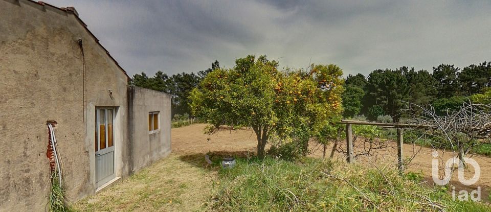 Casa de aldeia T0 em Cernache do Bonjardim, Nesperal e Palhais de 100 m²