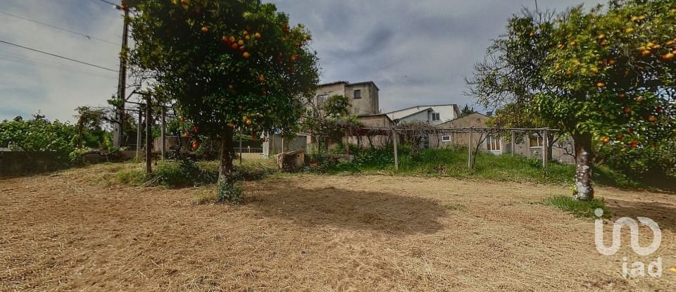 Village house T0 in Cernache do Bonjardim, Nesperal e Palhais of 100 sq m
