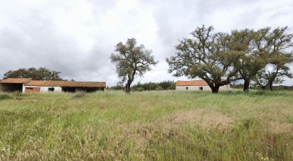 Country home T3 in Alvalade of 339 m²