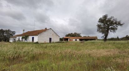 Country home T3 in Alvalade of 339 m²