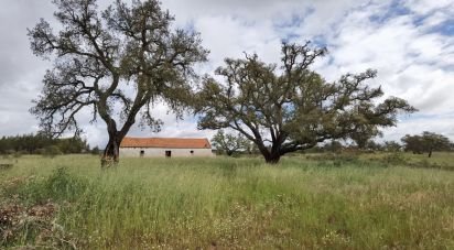 Country home T3 in Alvalade of 339 m²