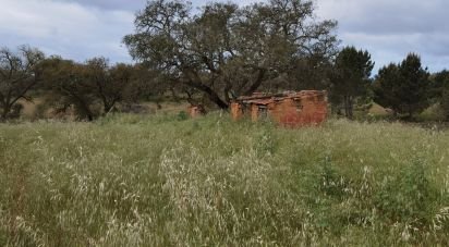 Maison rustique T3 à Alvalade de 339 m²