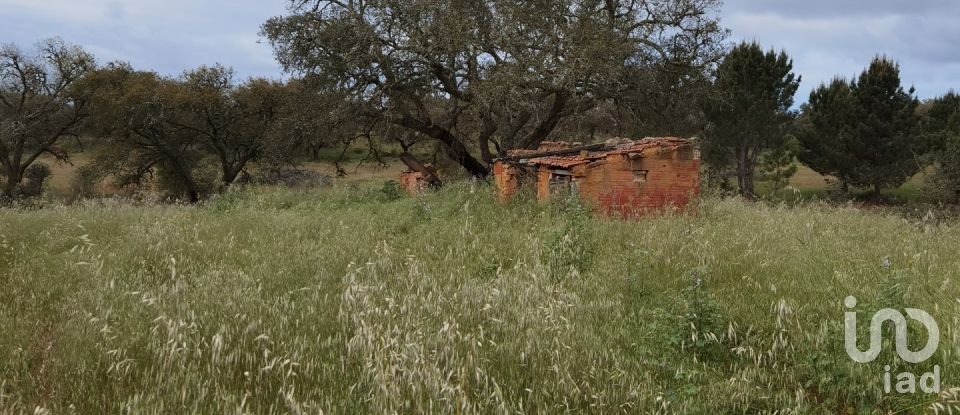 Maison rustique T3 à Alvalade de 339 m²