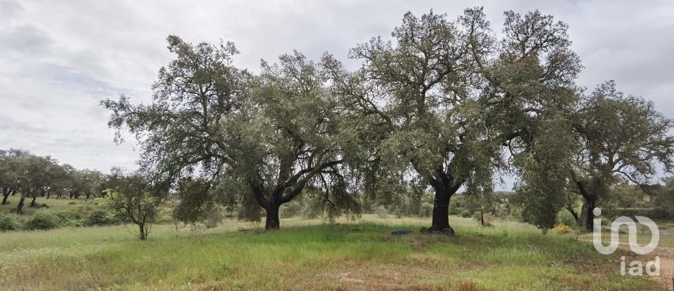 Maison rustique T3 à Alvalade de 339 m²