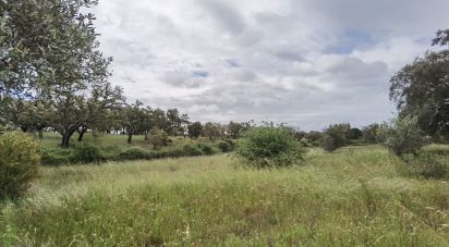 Country home T3 in Alvalade of 339 m²