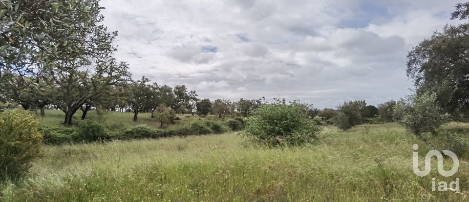 Maison rustique T3 à Alvalade de 339 m²