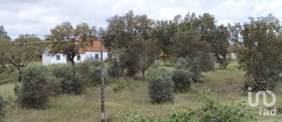 Maison rustique T3 à Alvalade de 339 m²