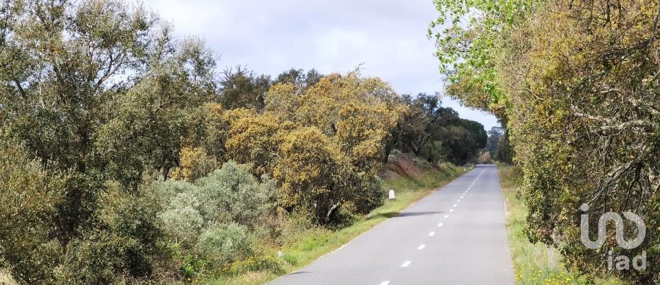 Maison rustique T3 à Alvalade de 339 m²