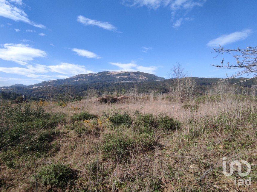 Land in Bárrio e Cepões of 66,425 m²