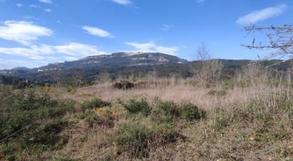 Land in Bárrio e Cepões of 66,425 m²