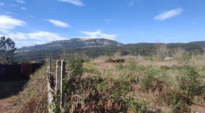 Land in Bárrio e Cepões of 66,425 m²