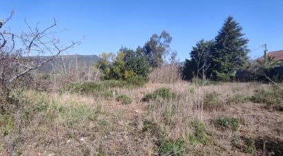 Land in Bárrio e Cepões of 66,425 m²