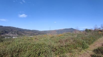 Land in Bárrio e Cepões of 66,425 m²