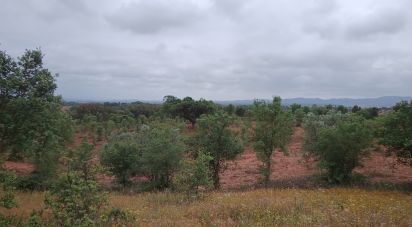 Terrain à Cercal de 31 000 m²