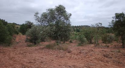 Terrain à Cercal de 31 000 m²