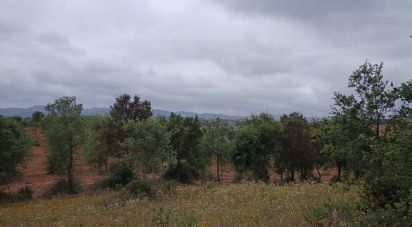 Terrain à Cercal de 31 000 m²